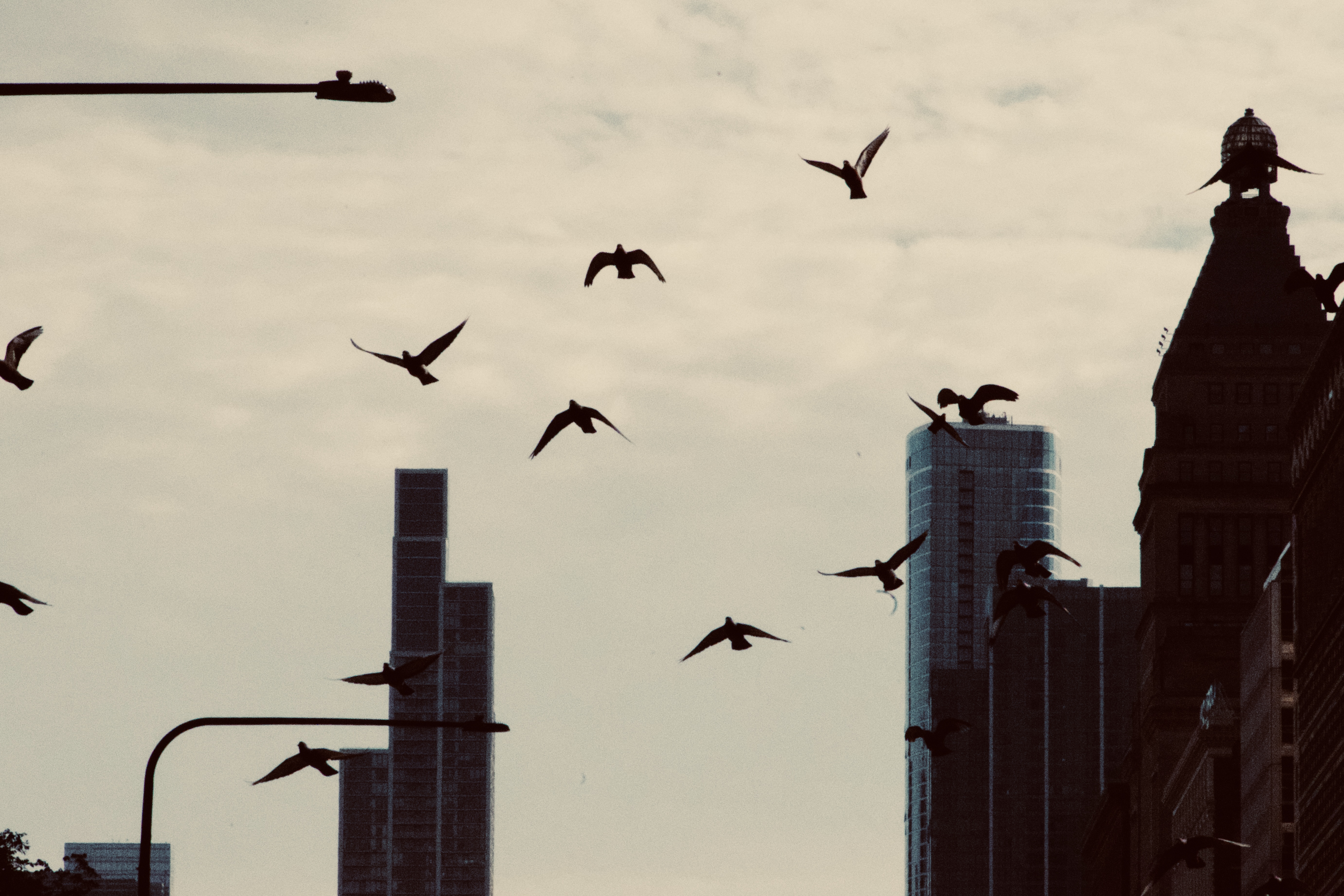 Chicago 4