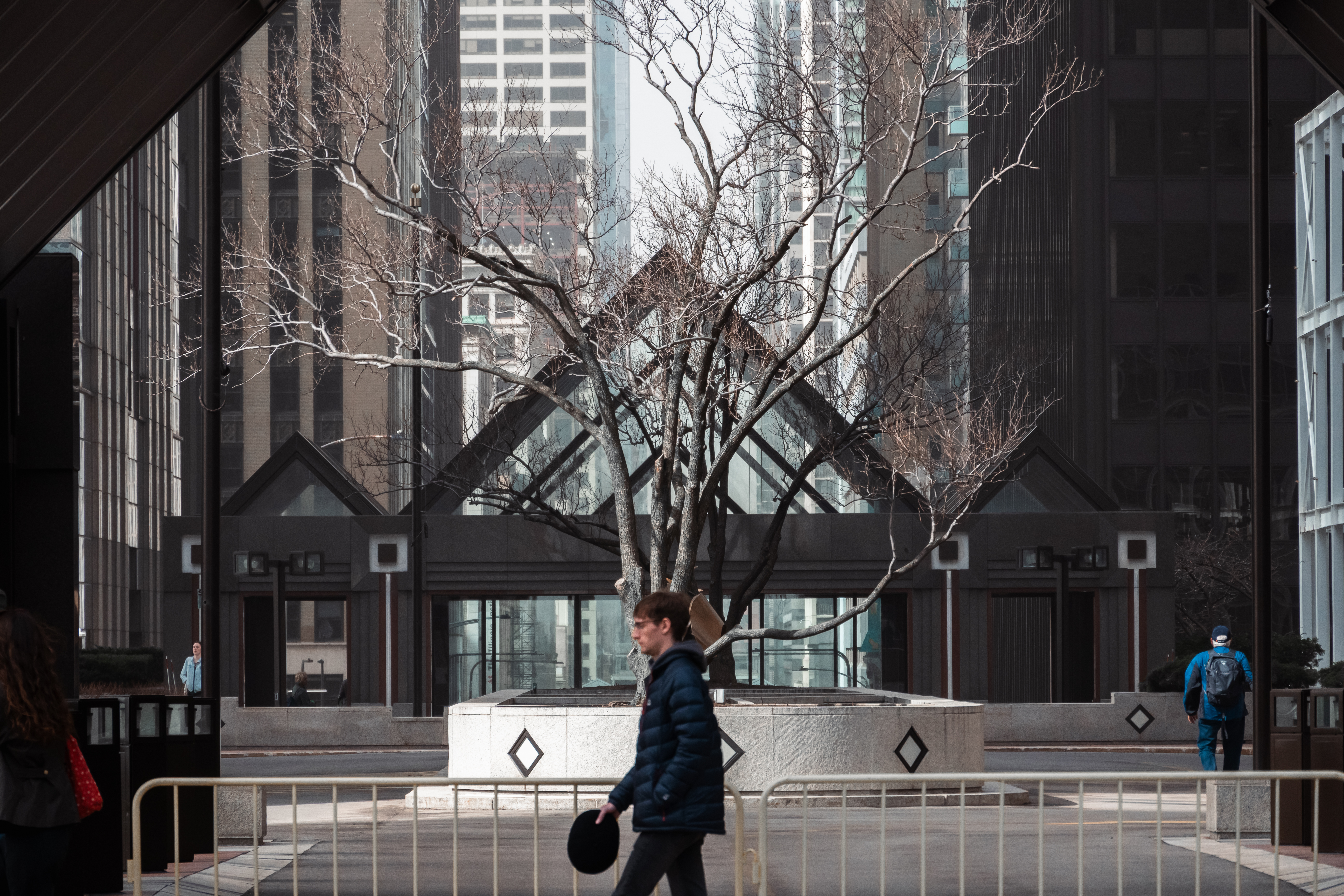 Chicago 7