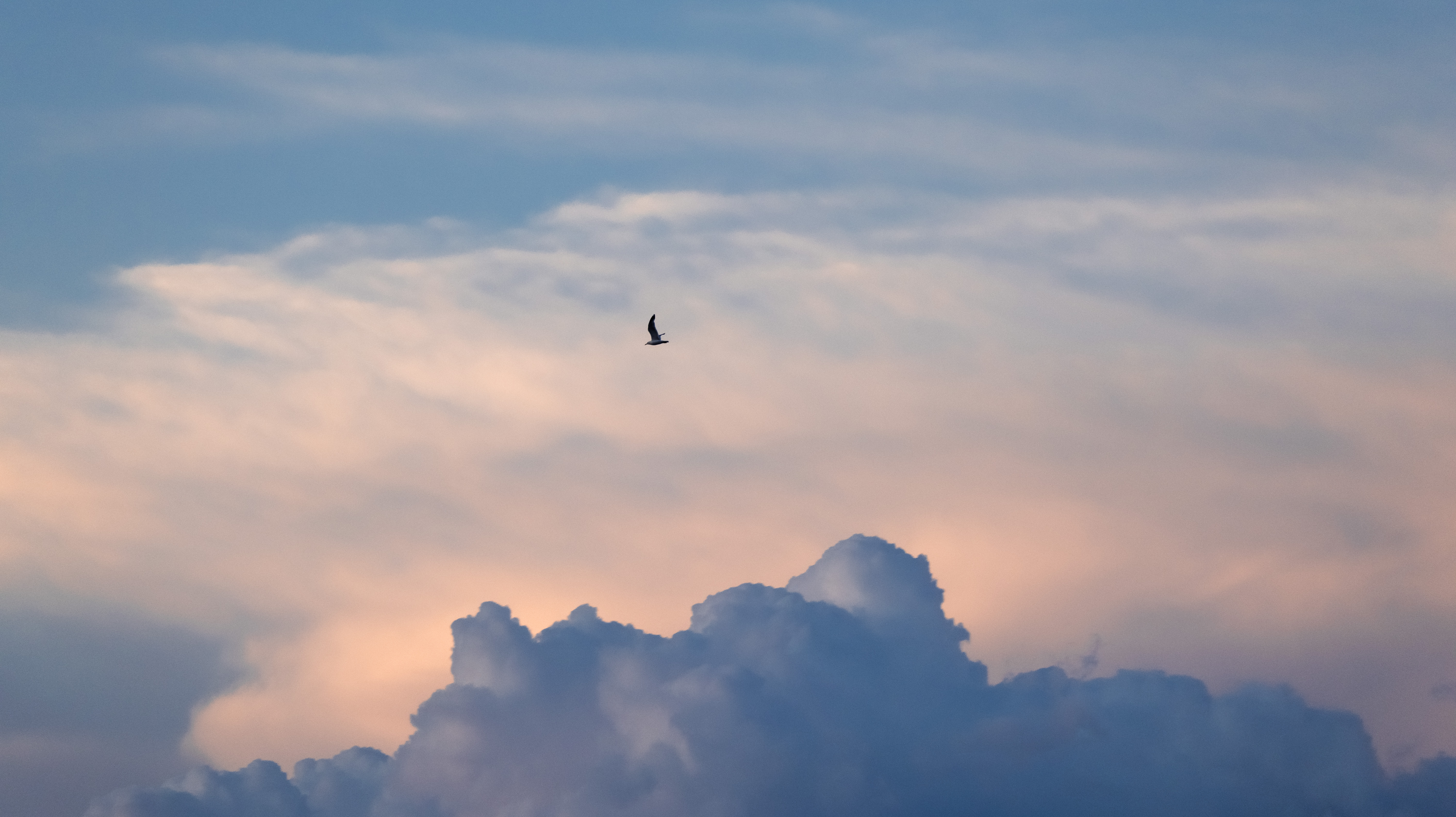 Clouds and Sunsets 11