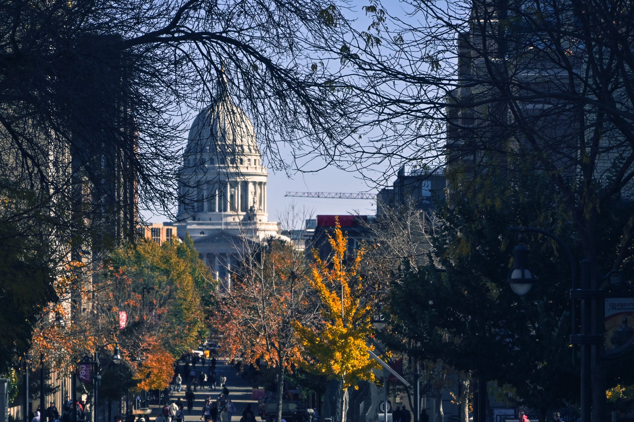 Madison 7