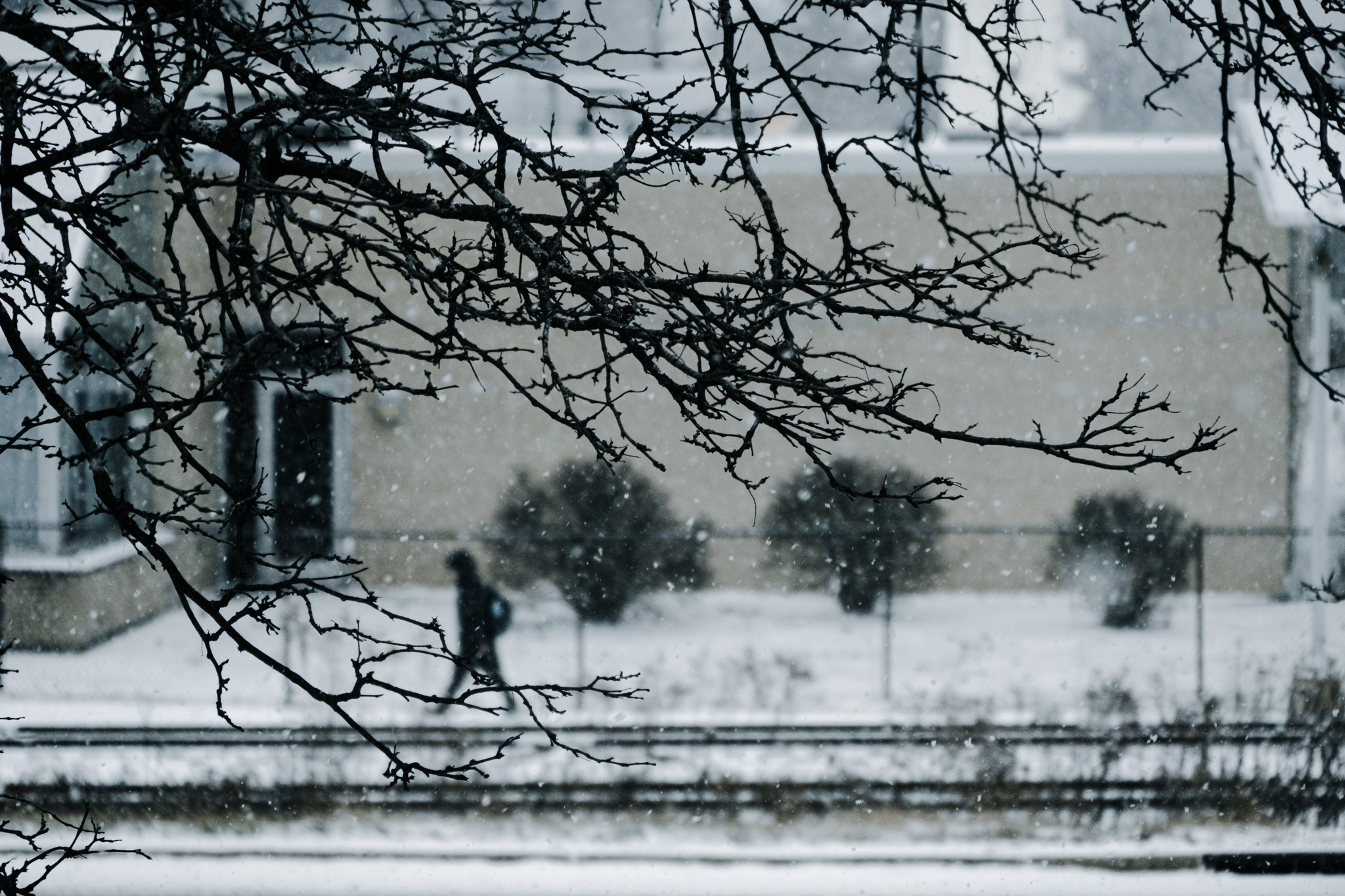 Winter 9