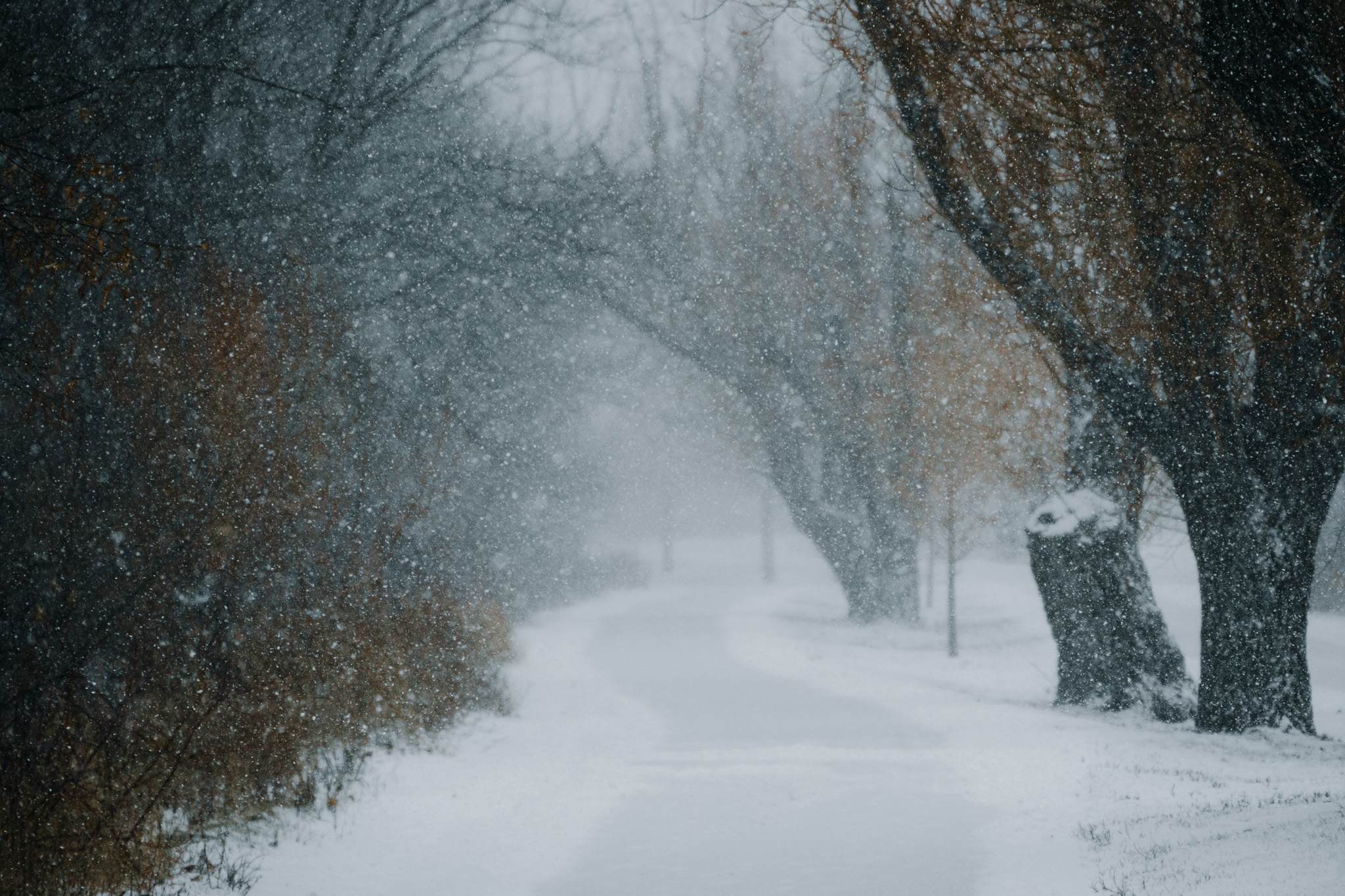 Winter 8
