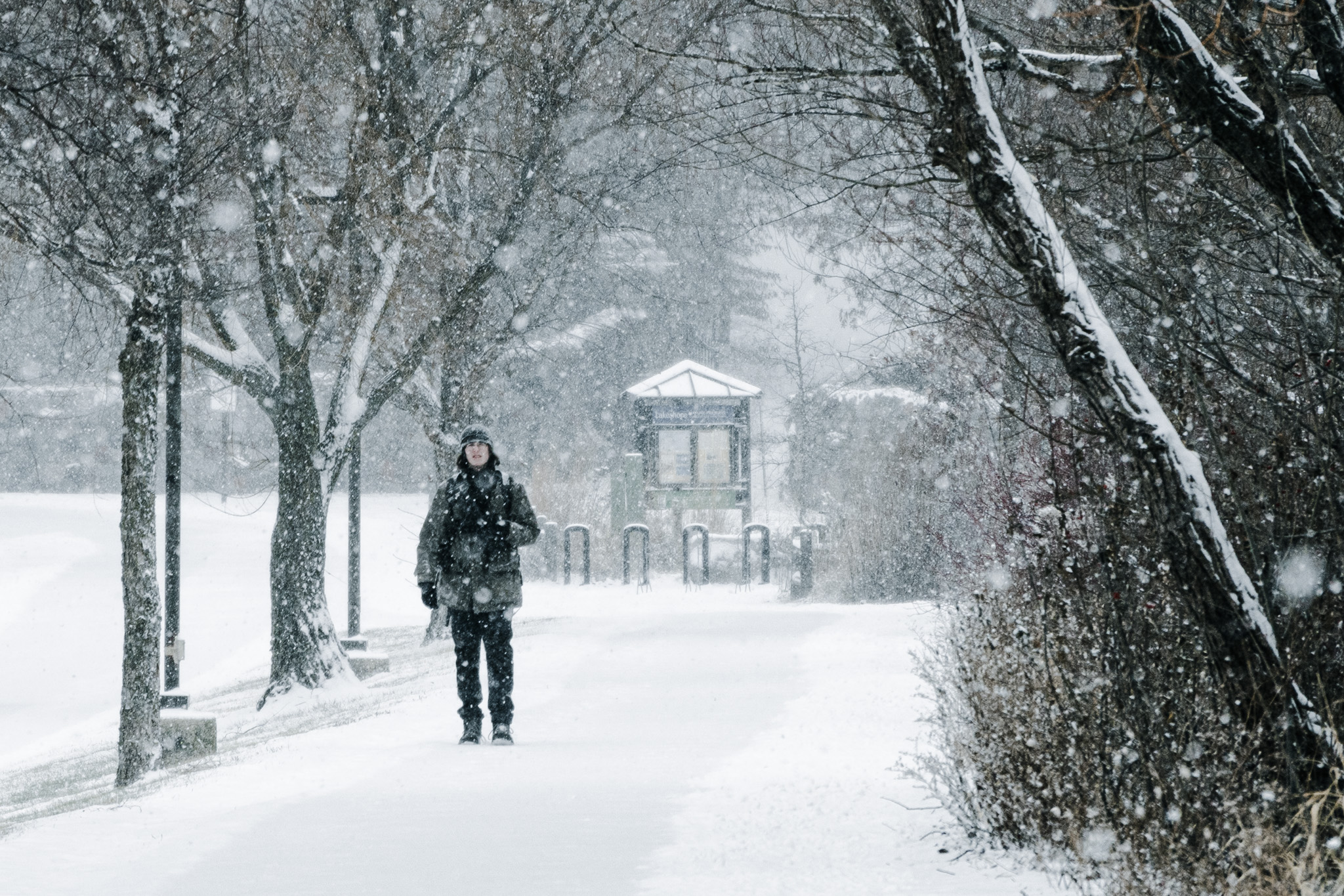 Winter 7