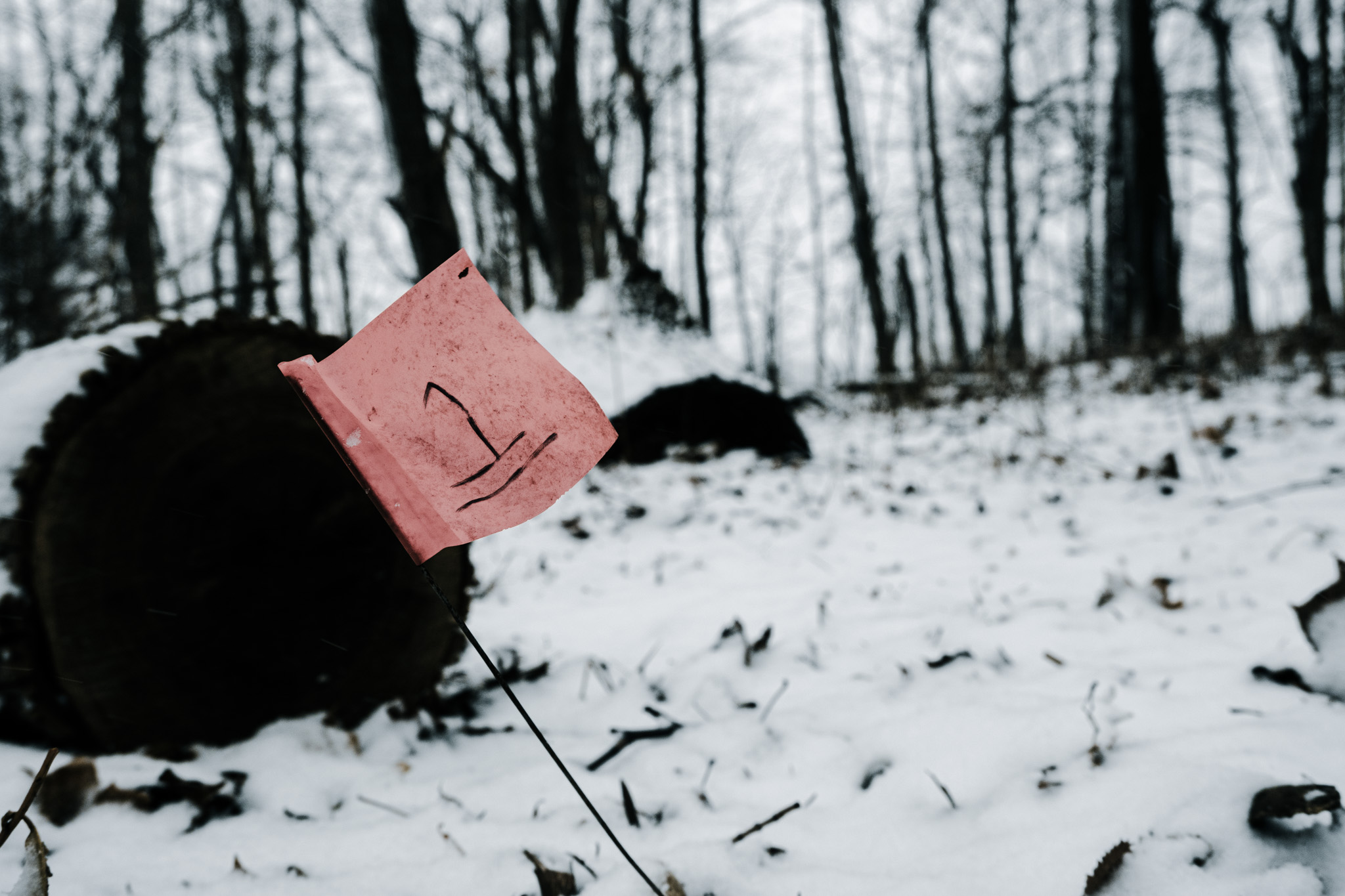 Winter 5
