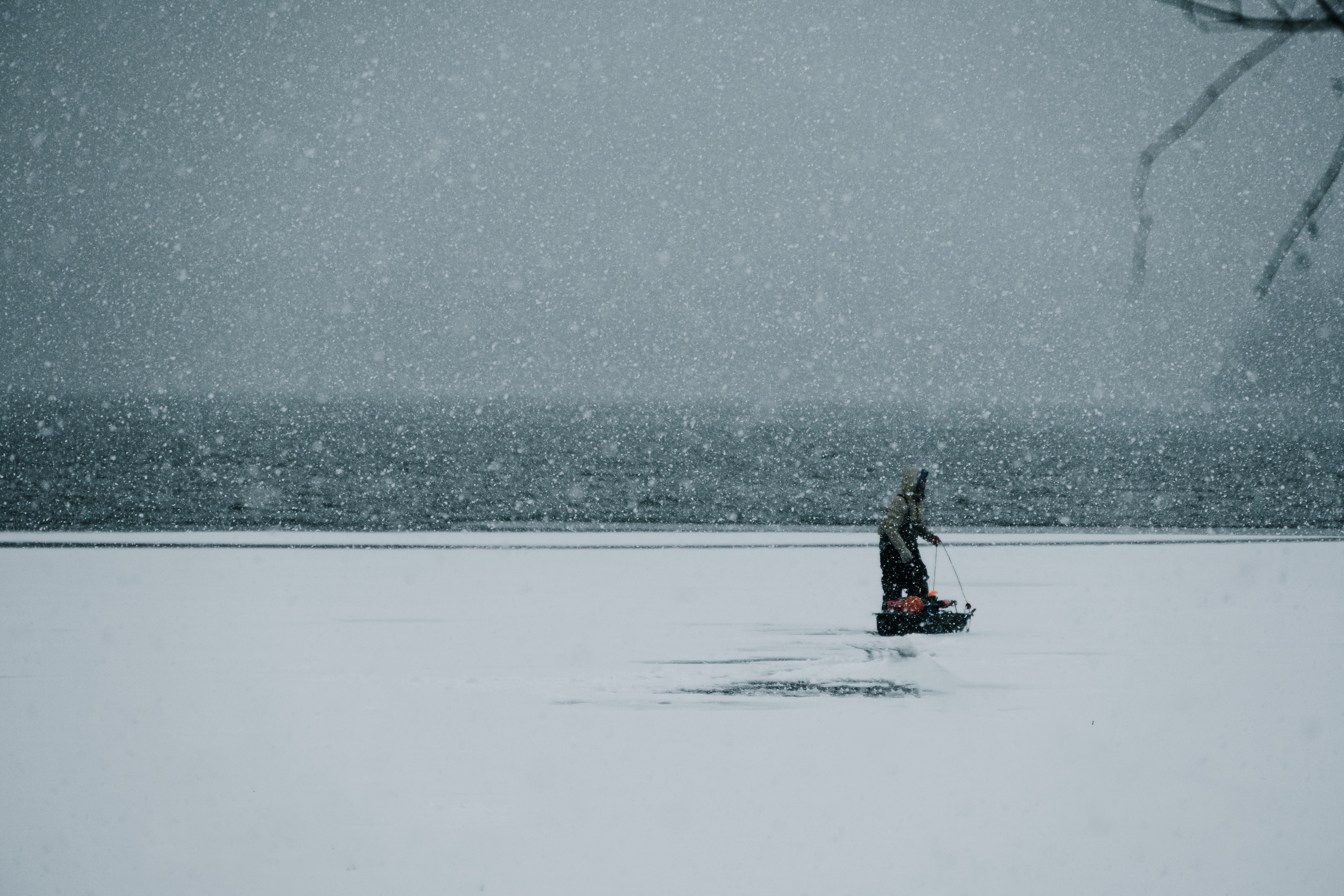 Winter 4
