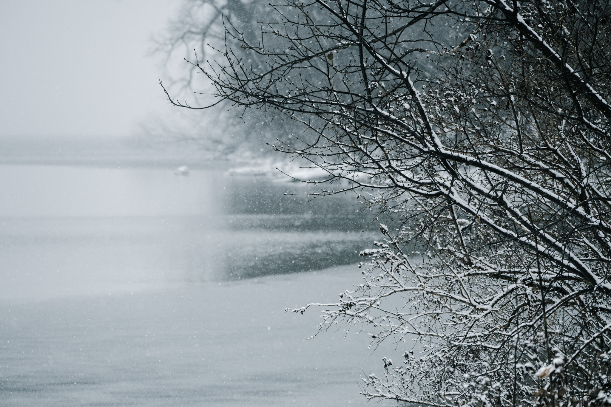Winter 3