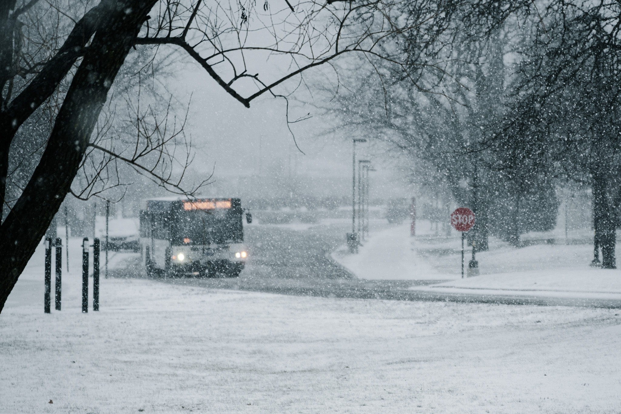 Winter 1